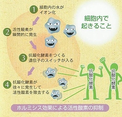 CCI20100423_00000s.jpg