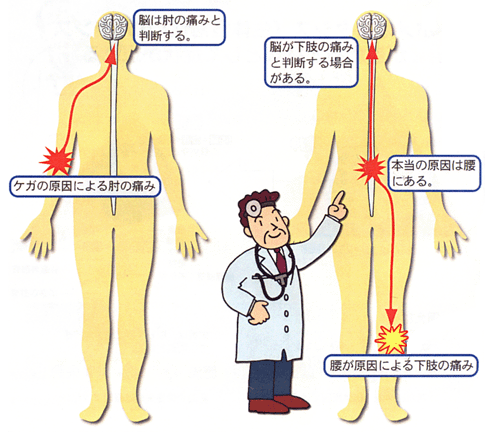 neurotransmission_treatment_01.gif