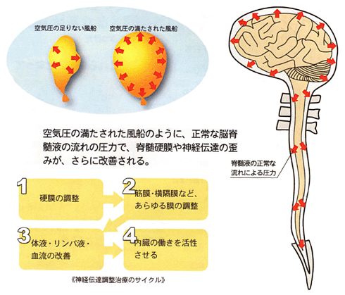 neurotransmission_treatment_04.gif