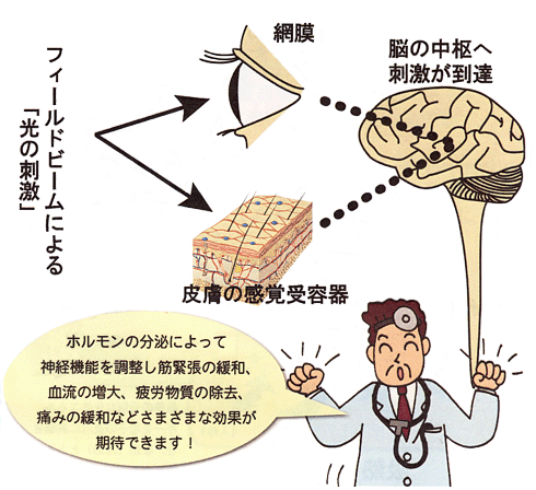 neurotransmission_treatment_07.gif
