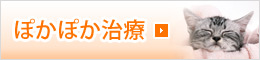 ぽかぽか治療